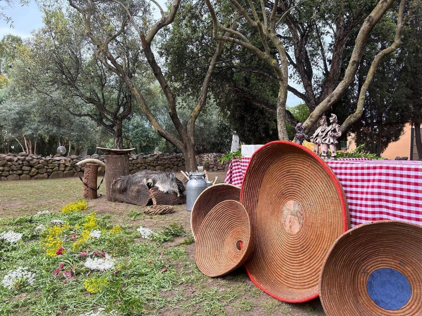 Agriturismo La Biada Is Morus エクステリア 写真